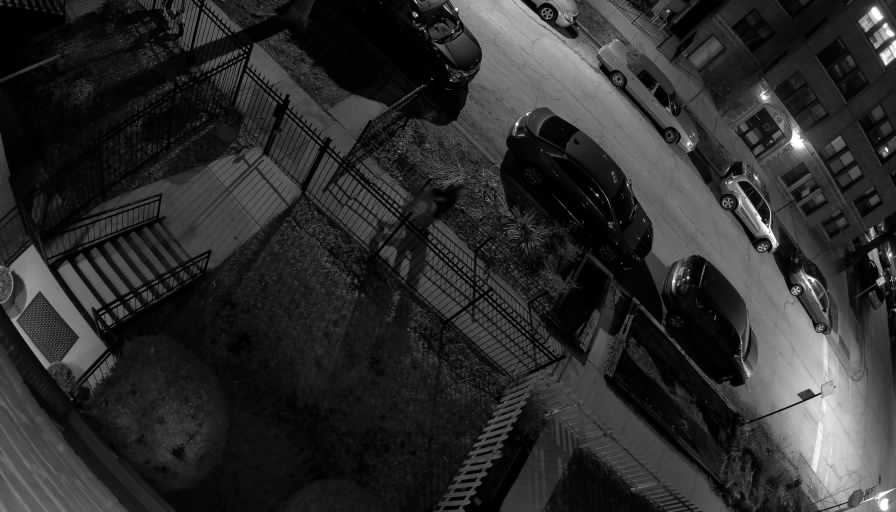 Reolink Camera Two_01_Reolink Home Hub One_20260320210900.jpg